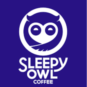 Sleepy Owl